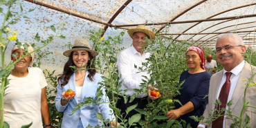 vekiller-beykozda-hasat-yapti (3)