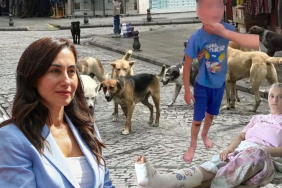 Beykoz Başkan Vekili köpek mağdurlarını ziyaret edecek mi?