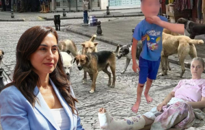 Beykoz Başkan Vekili köpek mağdurlarını ziyaret edecek mi?