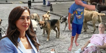 Beykoz Başkan Vekili köpek mağdurlarını ziyaret edecek mi?