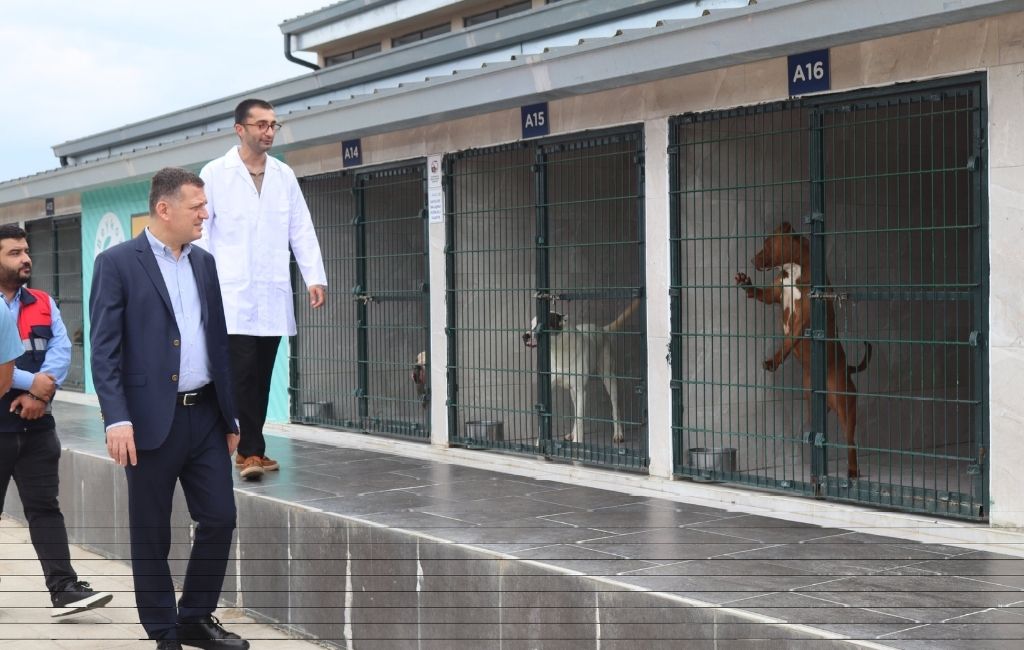 Beykoz Kaymakamı hayvan barınağı inceledi (5)