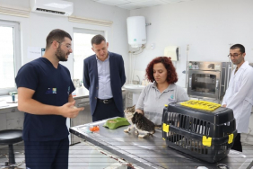Beykoz Kaymakamı hayvan barınağı inceledi (5)