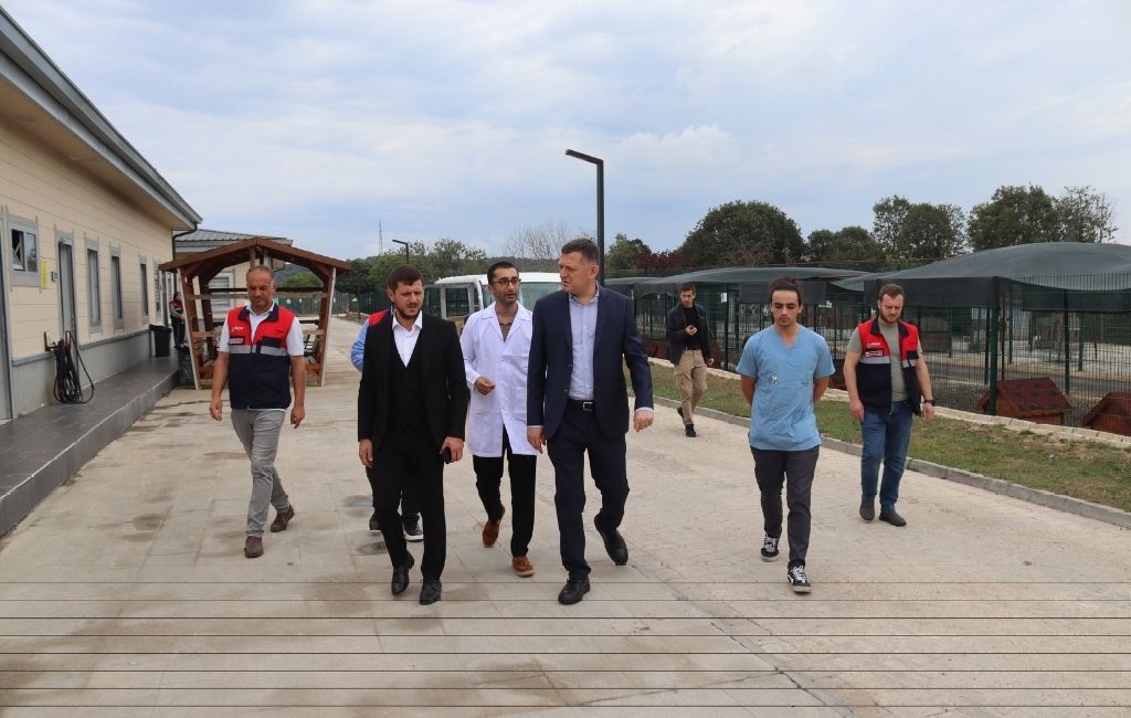 Beykoz Kaymakamı hayvan barınağı inceledi (5)
