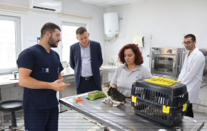 Beykoz Kaymakamı hayvan barınağı inceledi (5)