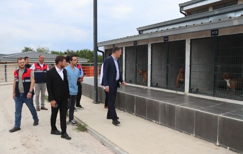 Beykoz Kaymakamı hayvan barınağı inceledi (5)