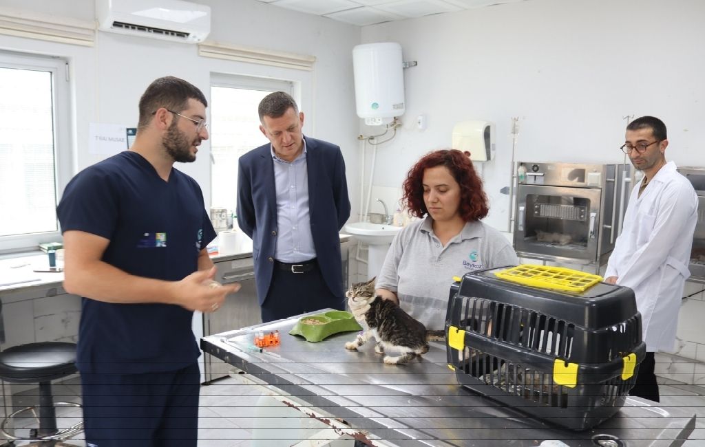 Beykoz Kaymakamı hayvan barınağı inceledi (5)