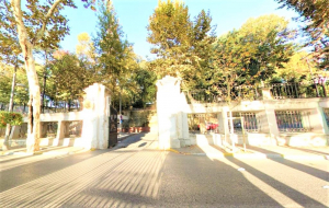 Beykoz Korusu ve Hidiv’e girişler yasaklandı!