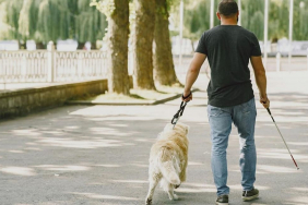 Beykoz'da köpekle sosyal tesise almayan belediyeye para cezası!