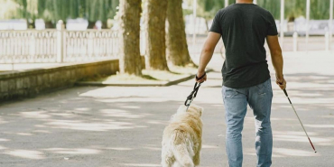 Beykoz'da köpekle sosyal tesise almayan belediyeye para cezası!