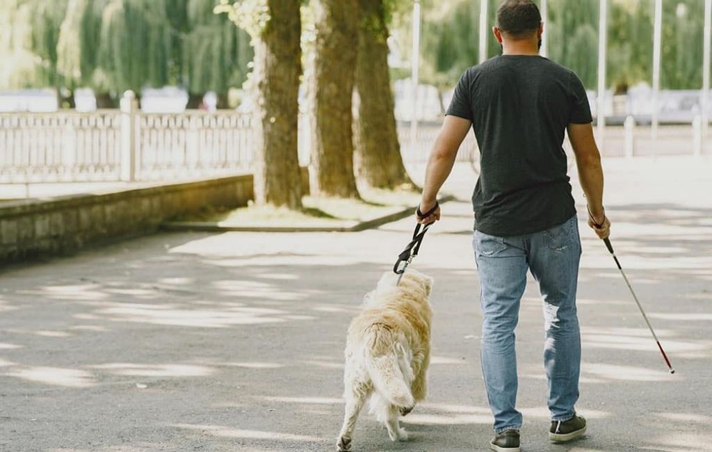 Beykoz'da köpekle sosyal tesise almayan belediyeye para cezası!