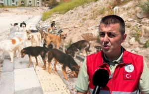 Beykoz’dan kovulmuştu! Yeni görev yerinde köpek sorununu çözdü (2)