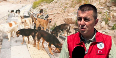 Beykoz’dan kovulmuştu! Yeni görev yerinde köpek sorununu çözdü (2)