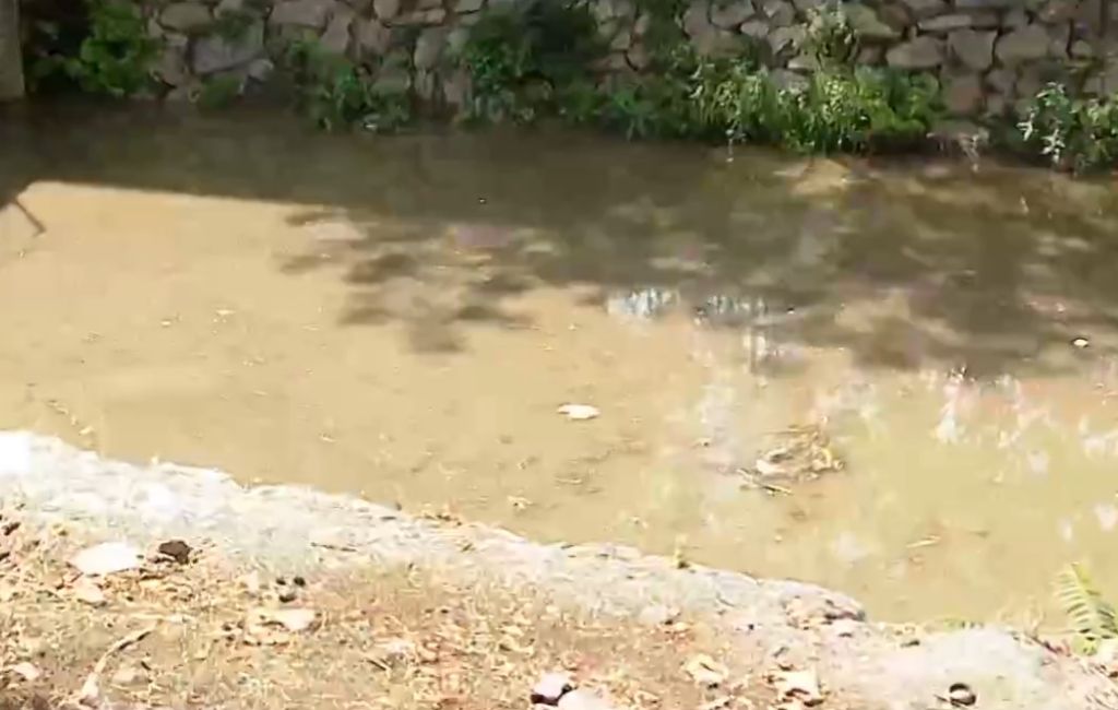 Beykoz Küçüksu Deresi kanalizasyona döndü! (4)