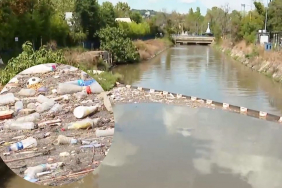 Beykoz Küçüksu Deresi kanalizasyona döndü! (4)