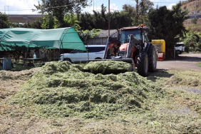 Beykoz’da 11 mahalle balya desteği alabilecek