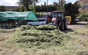 Beykoz’da 11 mahalle balya desteği alabilecek