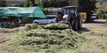 Beykoz’da 11 mahalle balya desteği alabilecek