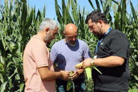 Beykoz’da üreticilere ve hayvancılığa güçlü destek
