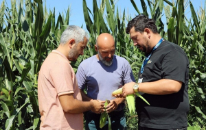 Beykoz’da üreticilere ve hayvancılığa güçlü destek