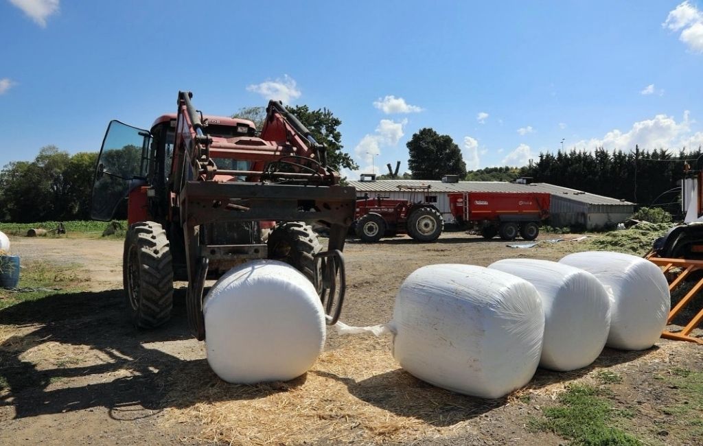 Beykoz’da üreticilere ve hayvancılığa güçlü destek