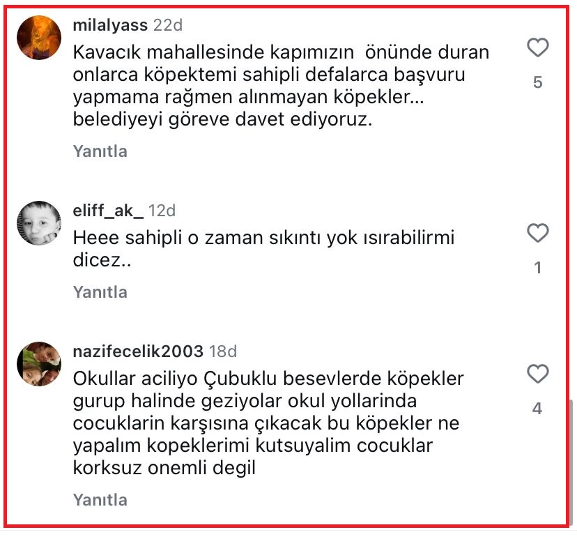 Yasaya uymayan Beykoz Belediyesi'ne vatandaşlardan tepki!
