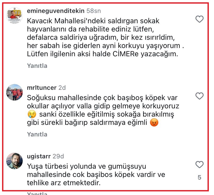 Yasaya uymayan Beykoz Belediyesi'ne vatandaşlardan tepki!