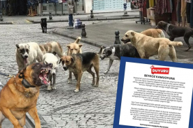 Yasaya uymayan Beykoz Belediyesi'ne vatandaşlardan tepki! (1)