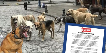 Yasaya uymayan Beykoz Belediyesi'ne vatandaşlardan tepki! (1)