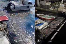 Beykoz sahili adeta çöplüğe döndü!