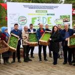 Beykoz’da çiftçiye 1,5 milyon fide desteği!