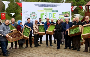 Beykoz’da çiftçiye 1,5 milyon fide desteği!