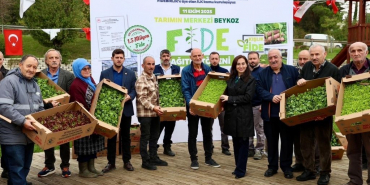 Beykoz’da çiftçiye 1,5 milyon fide desteği!