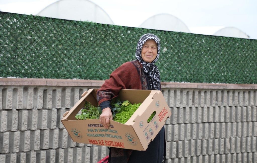 Beykoz’da çiftçiye 1,5 milyon fide desteği!