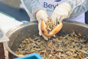 Beykoz Balık Festivali başlıyor!