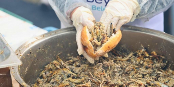 Beykoz Balık Festivali başlıyor!