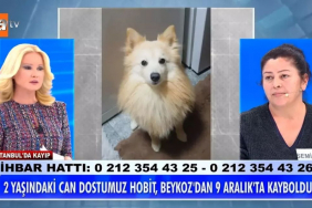 Beykoz’da köpeği kaybolan kadın Müge Anlı'ya çıktı