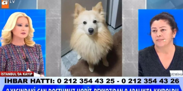 Beykoz’da köpeği kaybolan kadın Müge Anlı'ya çıktı
