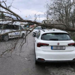 Beykoz'u lodos vurdu! Çatılar uçtu, ağaçlar devrildi (6)