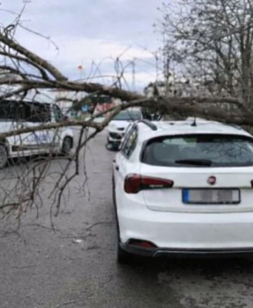 Beykoz'u lodos vurdu! Çatılar uçtu, ağaçlar devrildi (6)