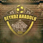 Beykoz Anadolu Spor ekibi 3. Lig’e düştü