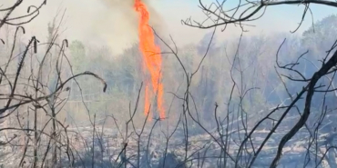 Beykoz'da orman yangını! Müdahaleler sürüyor