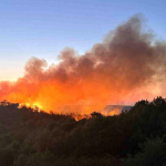 Beykoz’da orman yangını yeniden alevlendi!