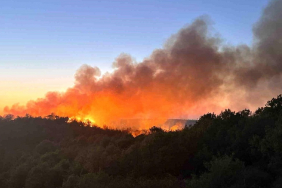 Beykoz’da orman yangını yeniden alevlendi!