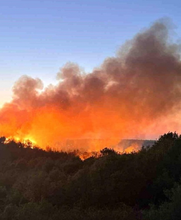 Beykoz’da orman yangını yeniden alevlendi!