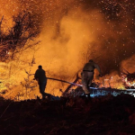 Beykoz'daki orman yangını 9 saatte kontrol alındı!