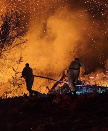Beykoz'daki orman yangını 9 saatte kontrol alındı!