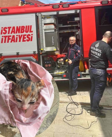 Beykoz’da boruya sıkışan yavru kedi kurtarıldı!