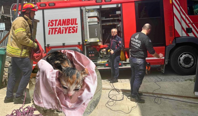 Beykoz’da boruya sıkışan yavru kedi kurtarıldı!