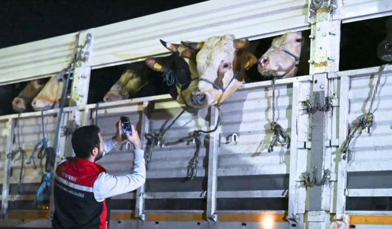 Kurbanlıktan Riva’dan İstanbul’a giriş yaptı!